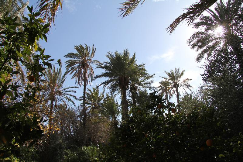 فندق Jnane Tamsna مراكش المظهر الخارجي الصورة