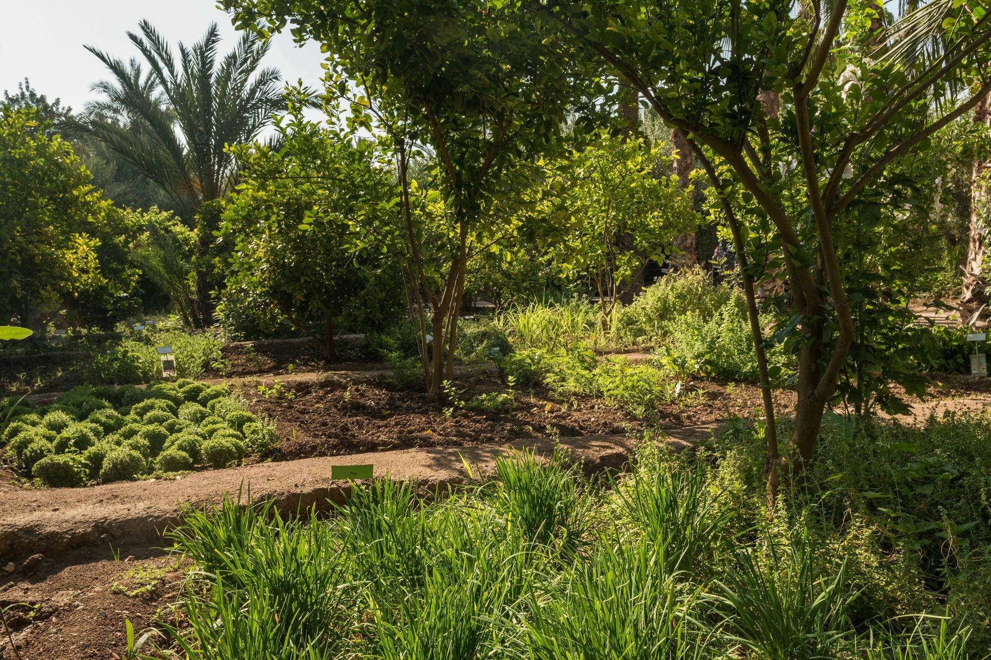 فندق Jnane Tamsna مراكش المظهر الخارجي الصورة